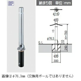 三協アルミ ビポールBP T-48TN φ48mm 取り外し式 チェーン通過タイプ