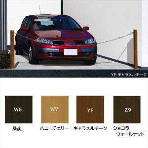 YKKAP `F[|[(VAXANZg|[1^) T200 `F[tiʓryьnt^Cv ؒJ[