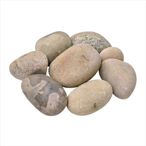 �I�����[���� �؃u�� �J���h�j�A���R�u�� 1�܁i25kg�j SR2-C28