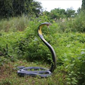 FRP �L���O�R�u�� / King Cobra fr160182 �w�������I�u�W�F �A�j�}���I�u�W�F �X�܁E�z�e�������x