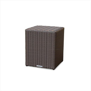 V RAUCORD COSTA Xc[e[u wK[f`FA K[ft@j`[x _[NuE