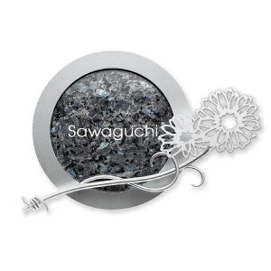  WG[Xg[TC WDFS-1w\D TC ˌx