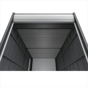 Ciou@AVA IvV@[o[V@3157p@AVA{̂Ɠwi