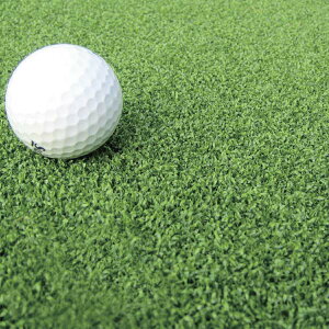 N[o[^[t J[^Cv ŏ13mm 1m×10m CTK13 wlH [  Ax O[