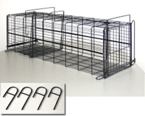 Vh[@ߊl̏@QbߊlJSETCYLL 