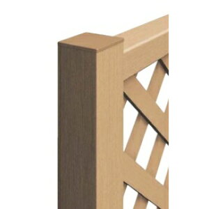 YKK EbhtFXԎd؂蒌 [ T80 wؒtFX x