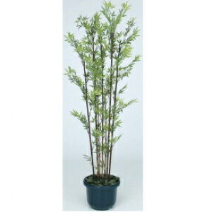 wlHÁx@^JV[ O[fRa@|7{@t@1.8m@GD-50LH@#21481500