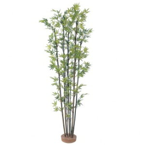 wlHÁx@^JV[ O[fRa@|7{ @1.5m@GD-50S@#21484600