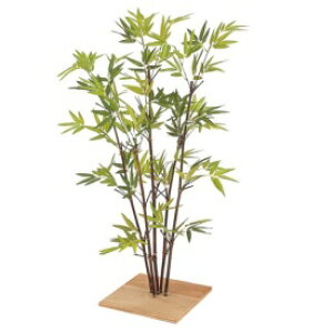 観葉植物 和風の人気商品 通販 価格比較 価格 Com