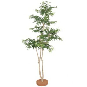 wlHÁx@^JV[ O[fRa@݂ @1.5m@GD-191S@#21898100