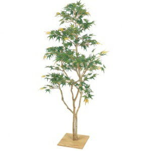 wlHÁx@^JV[ O[fRa@݂t t@1.3m@GD-111@#21572000