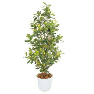 wlHÁx@^JV[ O[fRa@AILt@1.5m@GD-130