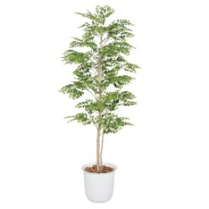 wlHÁx@^JV[ O[fRa@S[f[t@1.5m@GD-193