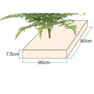 wlHÁx@^JV[ O[ObY OhJo[@dX`[i~pj@KS-90