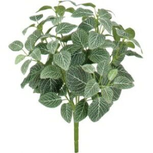 �w�l�H�A�́x�@�^�J�V���[ �O���[���O�b�Y �O�����h�J�o�[�����@�t�B�b�g�j�A�@W40cm�@GN-73