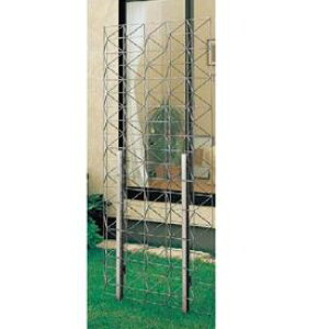 YKK GXpAgX1^ pl T200 wΉ A~tFX x