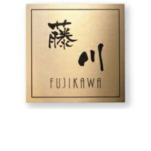  XeXS[hHL SG-513 w\D TC ˌx