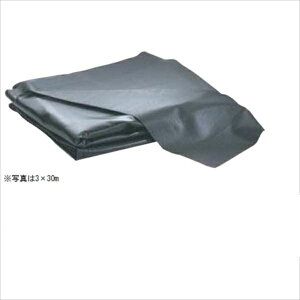 O[x |hV[g isDztj 3.0×4.0m C50FS1304 wK[fjODIYށx