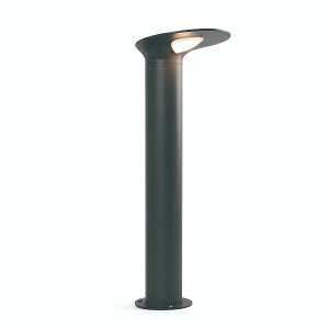 �S�[���L�A�C�����h�@LOTUS���[�^�X �_�[�N�O���[ �r�[�R�������v H50�@FA71225 �_�[�N�O���[