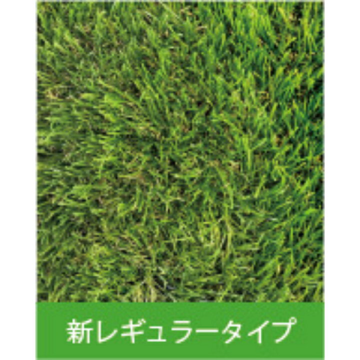楽天市場】クローバーターフ レギュラータイプ 芝丈30mm 1m×10m 