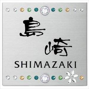 y}\ΏہzێO^JM GNXeA [J[Ήv[g ̑[J[IWi和 SIS-SK-2 w\D TC ˌx