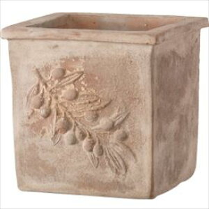 yi 6{ח\zI[ I[u XNGA[ AeBR 45cm GP3-78145