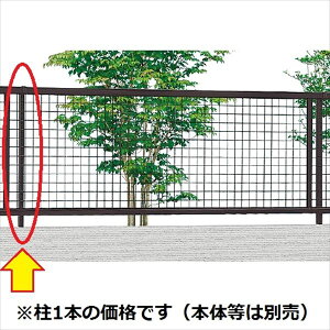 NV AbVtFX3^ t[|[^Cv T-6 wiZbgAʓrKvłx wA~tFX x