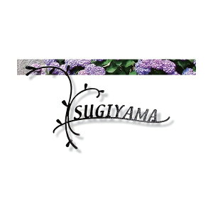 I[ tHXgqYl[v[g i`eCXg [U[Jbg^Cv NA1-S63 STCY w\D TC ˌx