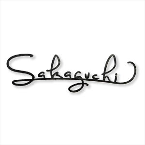 y}\Ώہz j[uXACAEJG ̂ݑ啶 IR-221 w\D TC ˌx