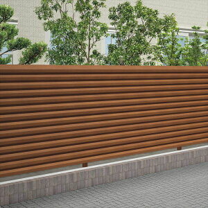 y@ll菤i lEzszl@XN[tFX@AOAtFXTL5^@{́@AGTL5-2020@wډB[o[@A~tFX@x