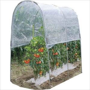 čH J悯nEX ߍݎ g}g̉ NT-18 wrj[nEX hHƁx