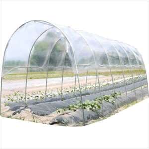 南榮工業 雨よけハウス 埋め込み式 AM2253 『ビニールハウス 南栄工業』