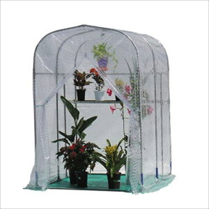 čH O[nEX pCvx[X NH-5 wrj[nEX hHƁx