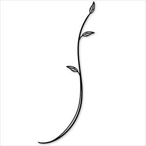 ZNtg fR[V u` WS-20D w\D IvVx