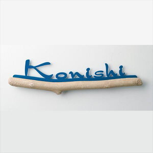 ���Z�N���t�g �T�j�[ SUNNY CAS-2 �w�A���~�����\�D�x