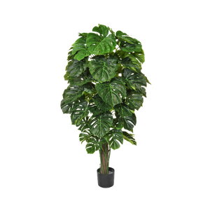 O[x tFCNO[ lHA ؁EOp Xe@FUV pt A70TR145