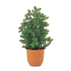 O[x tFCNO[ lHA ؁Ep TCvXg@600mm pyt