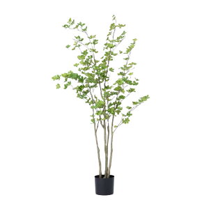 O[x tFCNO[ lHA ؁Ep hE_ccW@H1500 pt A70TN115