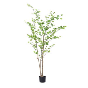 O[x tFCNO[ lHA ؁Ep hE_ccW@H1900 pt A70TN119