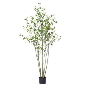 O[x tFCNO[ lHA ؁Ep hE_ccW@H2100 pt A70TN121