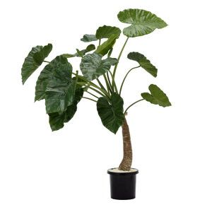 O[x tFCNO[ lHA ؁Ep AJVA pt A70TN133