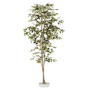 O[x tFCNO[ lHA ؁Ep nCAtBJX@H1800 pyt