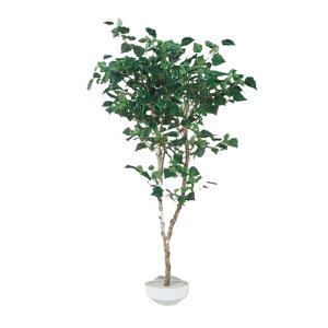 O[x tFCNO[ lHA ؁Ep i1{j H1500 pyt