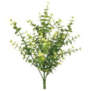 O[x tFCNO[ lHA Ep [J A70NT401