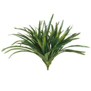 O[x tFCNO[ lHA Ep u@O[ A70NS611