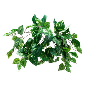 O[x tFCNO[ lHA K[hEp |gXubV A70NS504