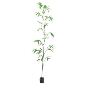 O[x tFCNO[ lHA |Ep |XeBbN x[XȂ A70NT031