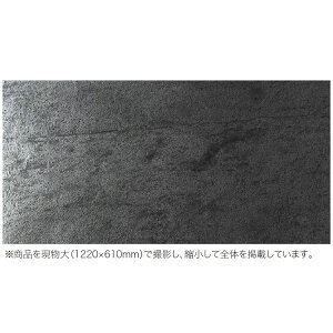 vC[z[Y Xg[X^C VRΎd STN-SIG0612P 4 Vo[OC