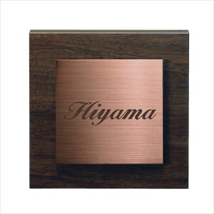 ZNtg ؖڒAN\D XefB AS-67- w\D TC ˌx