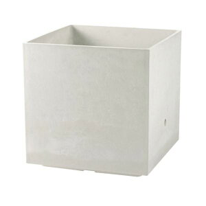 b`F B[ v^[WSWS L[u55^ CgO[